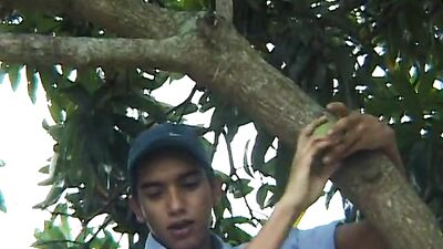 Latin Twinks in Garden Love: Bareback Big Cocks Cum Shots!