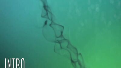 Made to Swallow Twelve: Cum Shots and Oral Delight