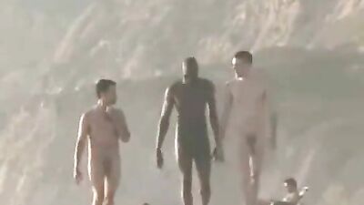 Beach Erection: Public Gay Cocks Black Outside