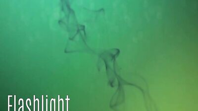 Made to Swallow Thirteen: Cum-Filled Oral Delights!