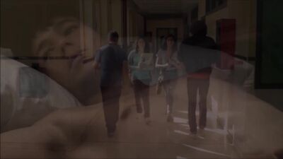 Happy Little Blue Birds # - Latino Movies Music