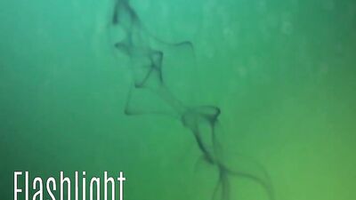 Made to Swallow Twenty-Three: Cum Shots and Fun Oral