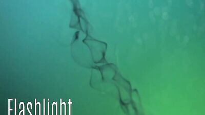 Made to Swallow - Cum Shots Fun Oral Adventures