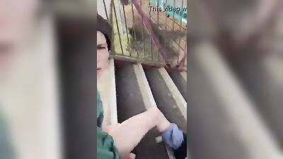 Public Gay Tube Boys Porn Masturbates in Front of Passersby