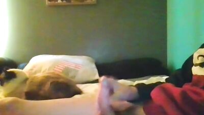 Handjob in the Blue Room: The Ultimate Cumshot Experience!