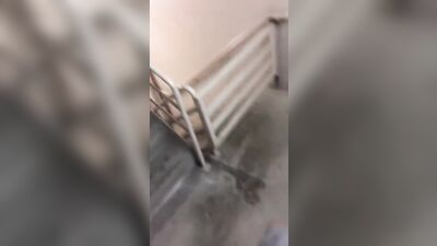 School Boys Locker Room Lust - Reggie and his Classmates Get Down and Dirty