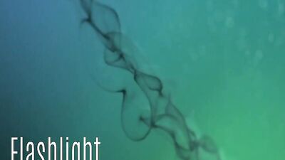 Made to Swallow thirty - one : Cum Shots Fun Oral Adventure