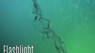 Made to Swallow: Fetish First-Timers Cum Shot Collection