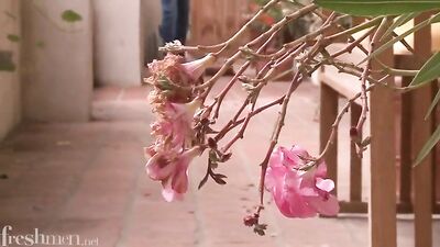 De Biman Hotboys - Action Overdose