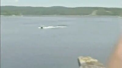 Straight Sailor Bareback Action Porn - Bareback Sailor Pimp