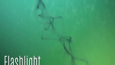 Made to Swallow56: The Ultimate Gay Porn Experience