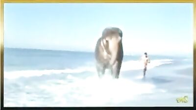 Experience the Thrill of Vintage Gay Porn with Elephant and Nude Boy!