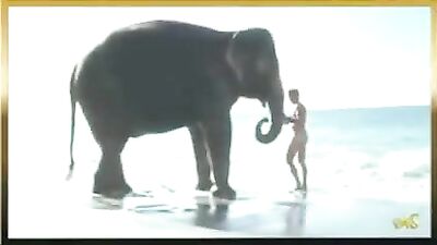 Experience the Thrill of Vintage Gay Porn with Elephant and Nude Boy!