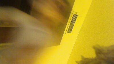 Gay Cam Twink Video Collection - Volume 5: Curvy and Intense!