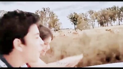 Esteros Rediscovered: The Brazilian Affair