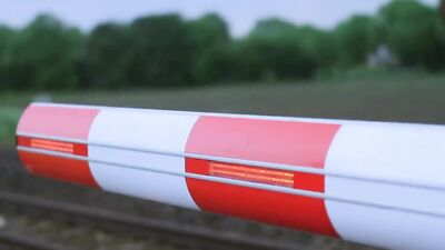 Gay Porn Video - Rubens School Education Short Film