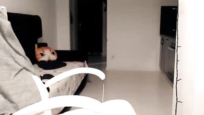 Gay Amateur Handjob Cumshots: A Peacefulkingartur Experience