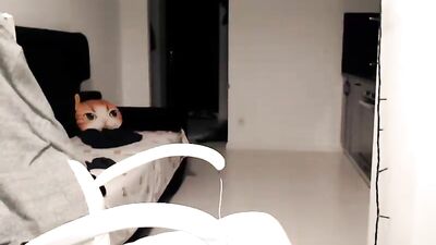 Gay Amateur Handjob Cumshots: A Peacefulkingartur Experience