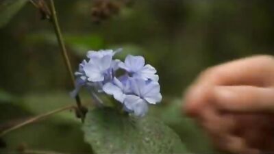 Raw Passion: Davy & Stus Short Film Experience