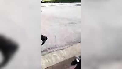 Funny little ass