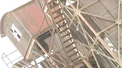 Big Dick Couples - Bareback Big Cocks Cum Shots