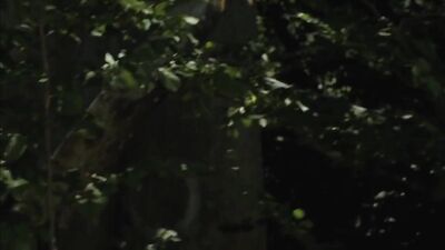 La Femba$$$ Short Films - The ultimate Gay Porn experience! Starring hot and sexy guys in steamy scenes of passion and pleasure!