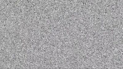 Gotcha: The Ultimate Suck-Fuck Experience!