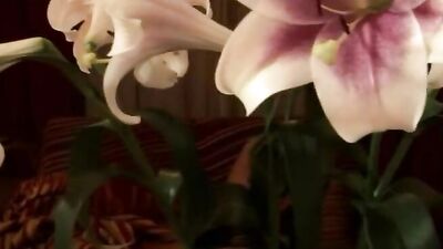 School Hero Worship: Big Cocks and Bareback Action