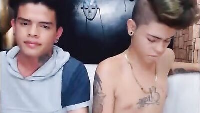 Teen Twinkies: The Love Affair Continues!