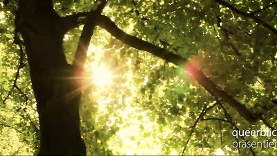 Coming Out - Gay Porn Video