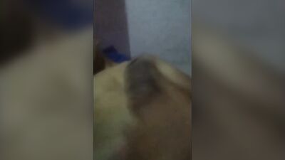 Gay Indonesian Exotic Bronze - Village Cum Shots