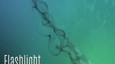 De Biman Hotboys 1518: Oral Delights Unleashed!