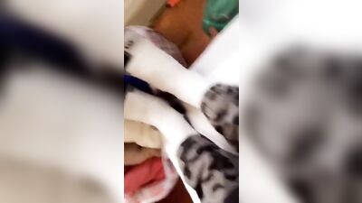 Golden Cum Drips for Sugar Daddy - the ultimate Gay Porn Experience