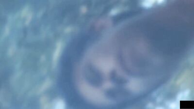 Latino Twink Heat: Action Packed Adventure!