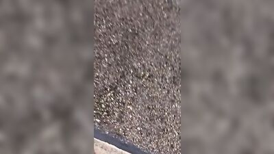 Stakepark Twink: The Ultimate Self-Play Experience