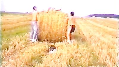 Gay Porn Frenzy! - Blasen Wichsen Ficken