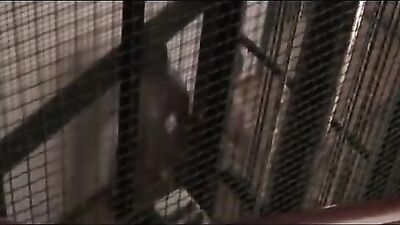 Desnudos * corto español tema gay