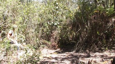 Latino Bareback Outdoor Action - Big Cocks