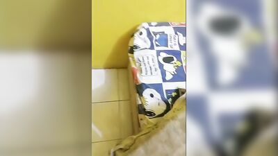 Exploring Asian Web-Cam Boys Passionate Desires!