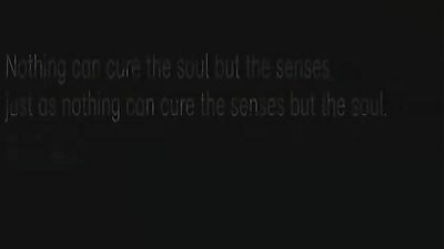 Young and Evil Desires: Gay Porn Video