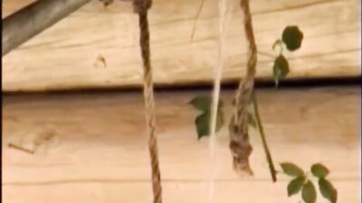 Solo Great Johan: A Gay Porn Fantasy Come True