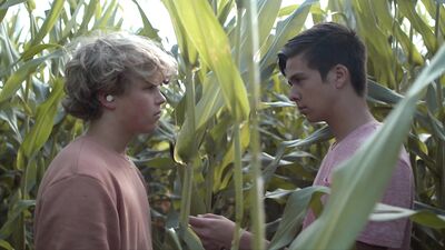 Deaf Boys Disease: Unleashing Gay Passion