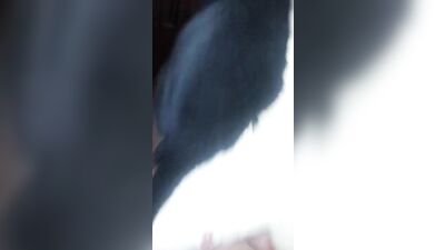 Young and Amateur Webcam Boy