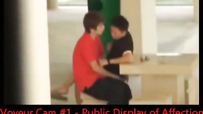 Asian Voyeur Returns for More