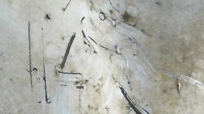 Fuck U Naked: Action Ass Play Bareback!