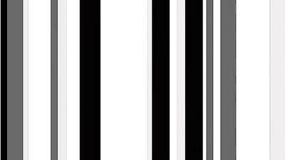 Gay Latino Amateurs in Shameless Bottom 2