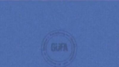 BROTHERS NUTTING: Erotic Desires Unleashed!