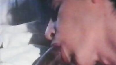 J D Cadinot Stop Surprise