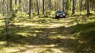 Hot Barebackers - Oral Cum Shots Delight