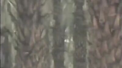 Beach Sex Odyssey: Gay Porn Videos for Free Teens!